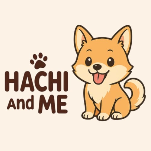 Hachi and Me